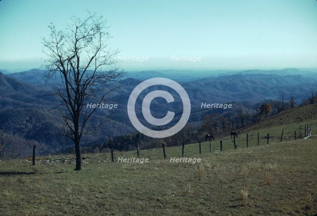 Mountain farm along Skyline Drive, Va., ca. 1940. Creator: Jack Delano.