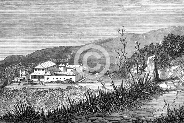 Mountain Hospital, Ascension Island, 1874. Creator: Unknown.