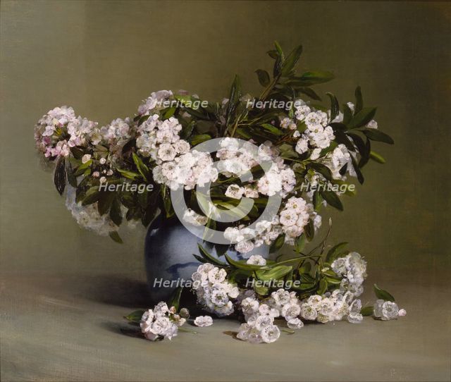 Mountain Laurel, 1888. Creator: Charles Ethan Porter.