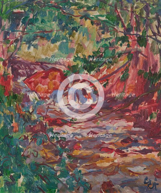 Mountain stream near Daganece, c1918. Creator: Giacometti, Giovanni (1868-1933).