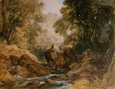 Mountain Stream and Rocks, [19th century]. Creator: Lines Family