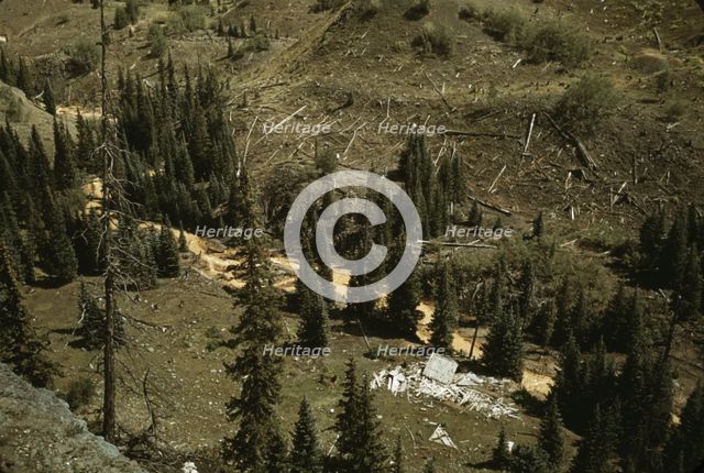 Mountain streams in Ouray County, Colorado, 1940. Creator: Russell Lee.