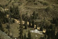Mountain streams in Ouray County, Colorado, 1940. Creator: Russell Lee