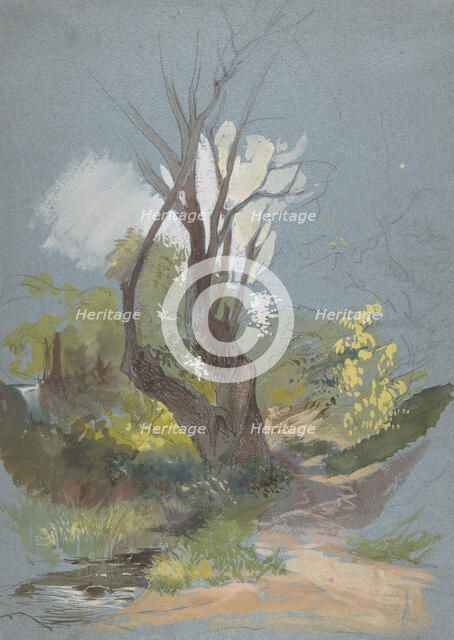 Mountain Path with a Tree, 1820-78. Creator: Friedrich Nerly.