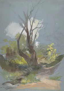 Mountain Path with a Tree, 1820-78. Creator: Friedrich Nerly