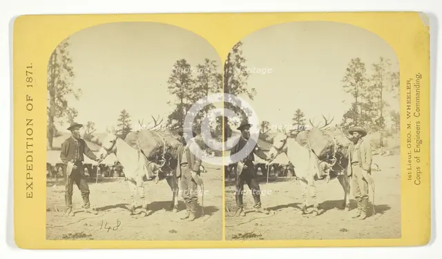 Mountain transportation. Pack mule, Pack and Packers, 1871. Creator: Tim O'Sullivan.