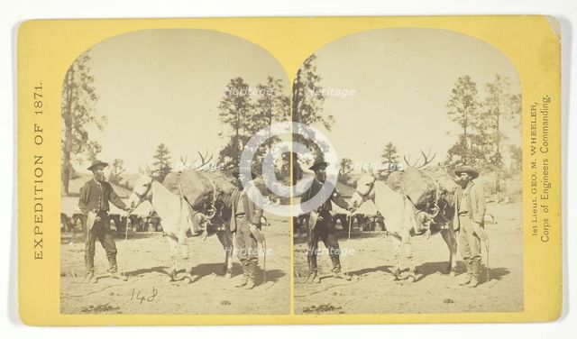 Mountain transportation. Pack mule, Pack and Packers, 1871. Creator: Tim O'Sullivan.