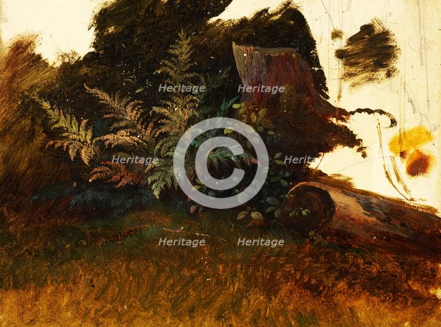 Mountain vegetation, 1860-1890. Creator: Friedrich Carl von Scheidlin.
