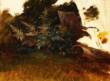 Mountain vegetation, 1860-1890. Creator: Friedrich Carl von Scheidlin