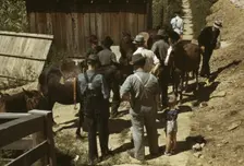 Mountaineers and farmers trading mules and horses on "Jockey St.,", Campton, Wolfe County, Ky., 1940 Creator: Marion Post Wolcott