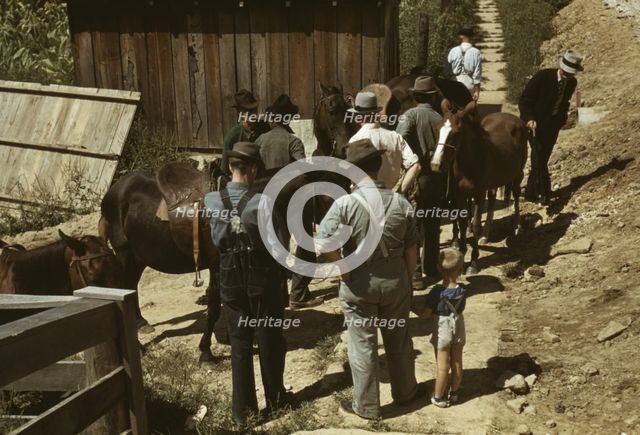 Mountaineers and farmers trading mules and horses on "Jockey St.,", Campton, Wolfe County, Ky., 1940 Creator: Marion Post Wolcott.
