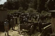 Mountaineers and farmers trading mules and horses on "Jockey St.,", Campton, Wolfe County, Ky., 1940 Creator: Marion Post Wolcott