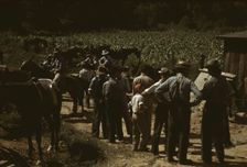 Mountaineers and farmers trading mules and horses on "Jockey St.,", Campton, Wolfe County, Ky., 1940 Creator: Marion Post Wolcott