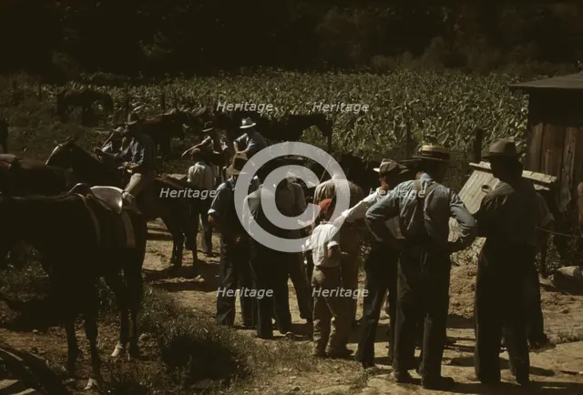 Mountaineers and farmers trading mules and horses on "Jockey St.,", Campton, Wolfe County, Ky., 1940 Creator: Marion Post Wolcott.