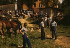 Mountaineers and farmers trading mules and horses on "Jockey St.,", Campton, Wolfe County, Ky., 1940 Creator: Marion Post Wolcott