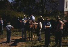 Mountaineers and farmers trading mules and horses on "Jockey St.,", Campton, Wolfe County, Ky., 1940 Creator: Marion Post Wolcott