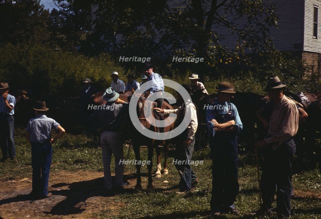 Mountaineers and farmers trading mules and horses on "Jockey St.,", Campton, Wolfe County, Ky., 1940 Creator: Marion Post Wolcott.