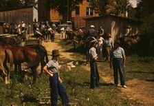 Mountaineers and farmers trading mules and horses on "Jockey St.,", Campton, Wolfe County, Ky., 1940 Creator: Marion Post Wolcott