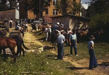 Mountaineers and farmers trading mules and horses on "Jockey St.,", Campton, Wolfe County, Ky., 1940 Creator: Marion Post Wolcott