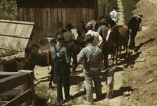 Mountaineers and farmers trading mules and horses on "Jockey St.,", Campton, Wolfe County, Ky., 1940 Creator: Marion Post Wolcott