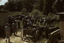 Mountaineers and farmers trading mules and horses on "Jockey St.,", Campton, Wolfe County, Ky., 1940 Creator: Marion Post Wolcott