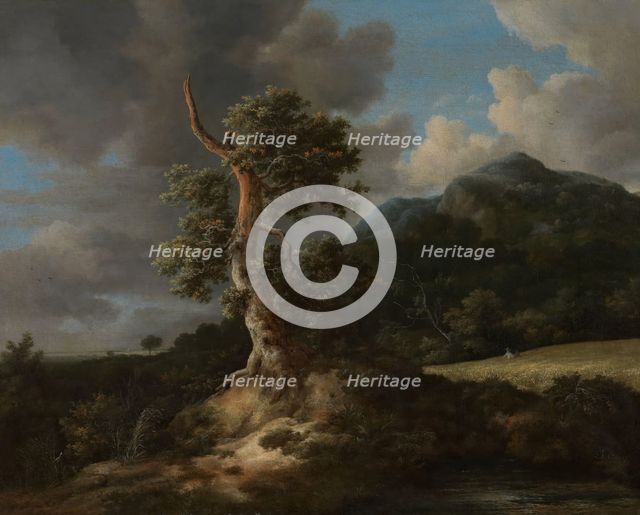 Mountainous Landscape with a Blasted Oak Tree, The 1660s. Creator: Jacob van Ruisdael.