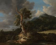 Mountainous Landscape with a Blasted Oak Tree, The 1660s. Creator: Jacob van Ruisdael