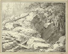 Mountainside with Fallen Tree, n.d. Creator: Friedrich Wilhelm Gmelin