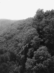 Mountainside with trees, between 1900 and 1920. Creator: Unknown