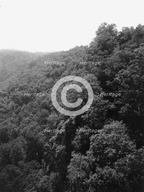 Mountainside with trees, between 1900 and 1920. Creator: Unknown.