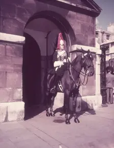 Mounted Horse Guard, Whitehall, London, c1955. Creator: Arthur Charles Kirby Ware