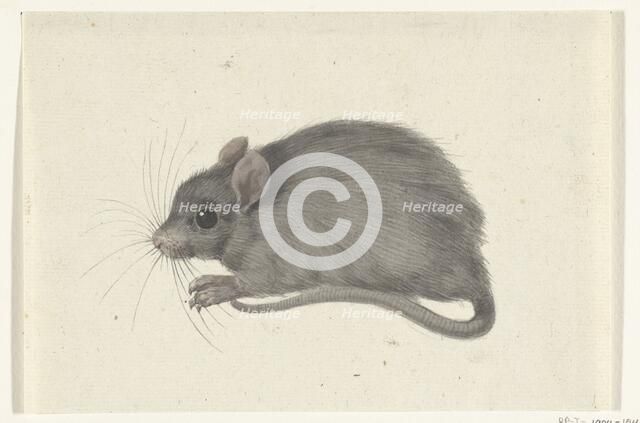 Mouse, to the left, 1775-1833. Creator: Jean Bernard.