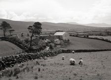 Mourne Mountains, County Down, Northern Ireland, c1955. Creator: Arthur Charles Kirby Ware