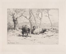 Moutons, 1868. Creator: Charles Emile Jacque