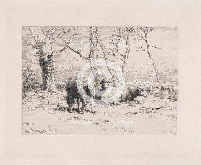 Moutons, 1868. Creator: Charles Emile Jacque.