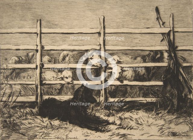 Moutons parqués, 1856. Creator: Felix Bracquemond.