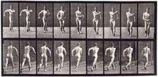 Movements. Man (wearing pelvis cloth') walking, 1872-1885. Creator: Eadweard J Muybridge
