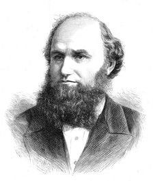 Movers and seconders of the Address in the two Houses of Parliament: Mr. J.P. Corry, M.P., 1880. Creator: Unknown