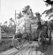 Moving day in the turpentine pine forest country, North Florida, 1936. Creator: Dorothea Lange