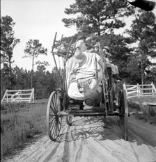 Moving day in the turpentine pine forest country, Northern Florida, 1936. Creator: Dorothea Lange
