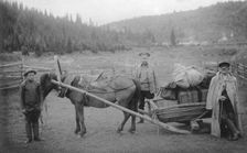Moving the Expedition Equipment on the Drag Harrow, Near the Ust'-Anzas Ulus, 1913. Creator: GI Ivanov