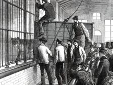 Moving the lions at the Zoological Society's Gardens, 1876. Creator: Unknown