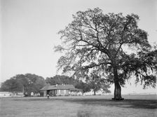 Mobile Country Club, Mobile, Ala., between 1900 and 1906. Creator: Unknown