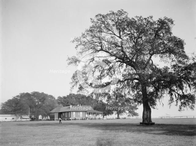 Mobile Country Club, Mobile, Ala., between 1900 and 1906. Creator: Unknown.