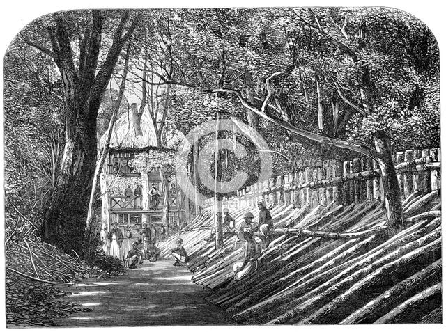 Mode of capturing wild elephants in Ceylon: an elephant kraal, with the "grand stand"..., 1864. Creator: Unknown.