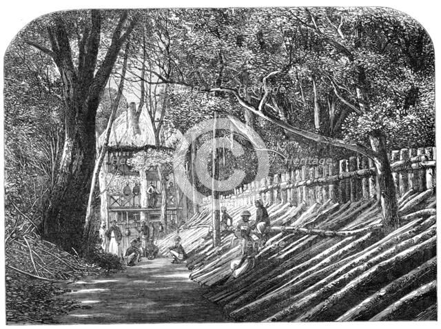 Mode of capturing wild elephants in Ceylon: an elephant kraal, with the "grand stand"..., 1864. Creator: Unknown.