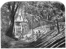 Mode of capturing wild elephants in Ceylon: an elephant kraal, with the "grand stand"..., 1864. Creator: Unknown