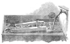 Model of a fish-ladder for salmon to ascend milldams and weirs,...Inspector of Fisheries, 1864. Creator: Unknown
