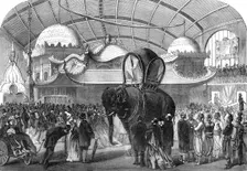 Model of an elephant in the Siamese section of the Machine Gallery 1867