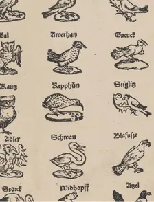 Modelbuch aller Art Nehens vn Stickens (Page 13r), 1535. Creator: Christian Egenolff